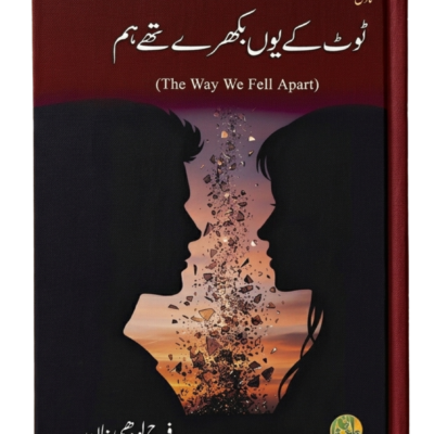 The Way We Fell Apart